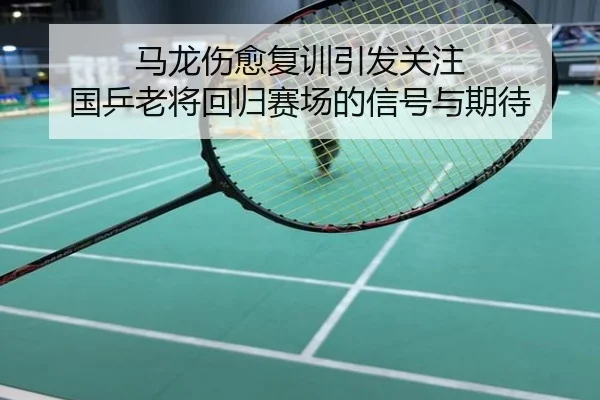 马龙伤愈复训引发关注 国乒老将回归赛场的信号与期待